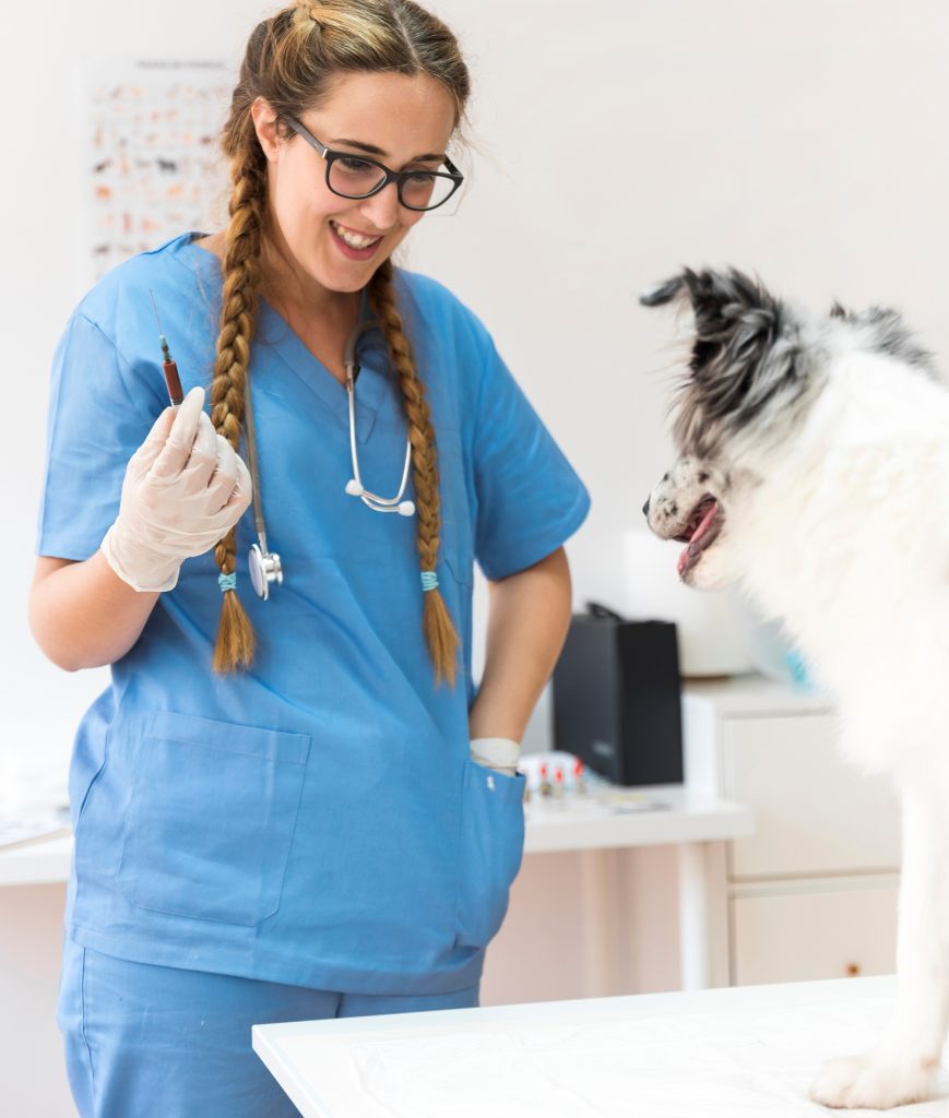 vacinacao-veterinaria
