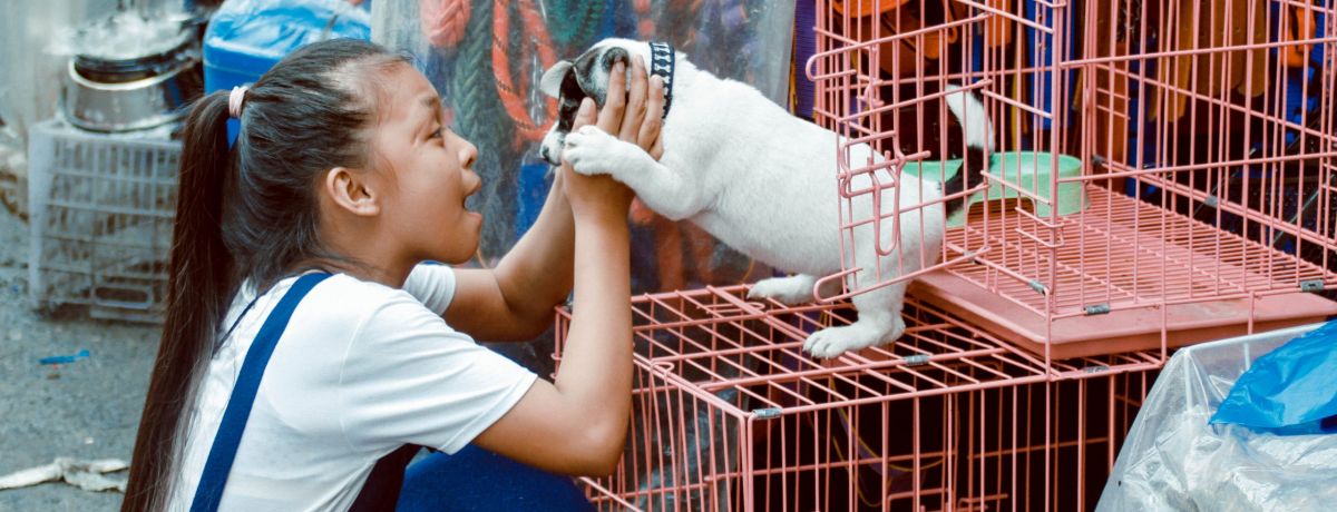 atendimento-humanizado-veterinaria